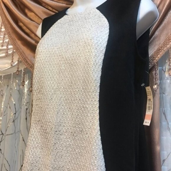 R & M Richards Size 10 Stealth Dress - Picture 3 of 4